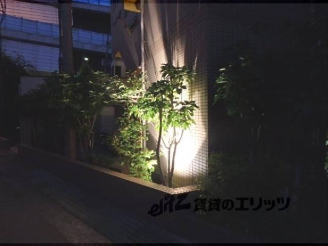植栽　オシャレな雰囲気です。