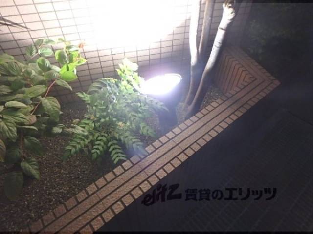 植栽