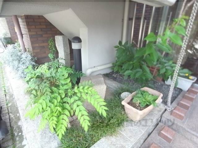 植栽