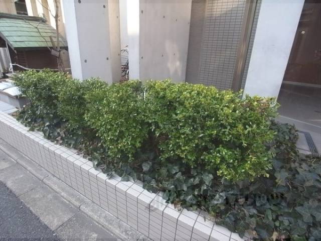植栽