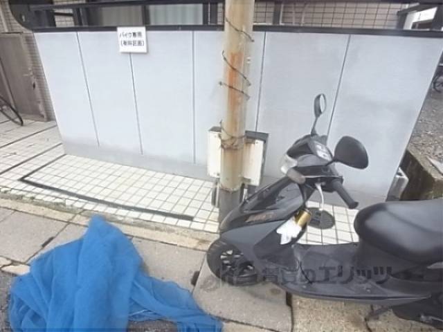 ゴミ捨て場