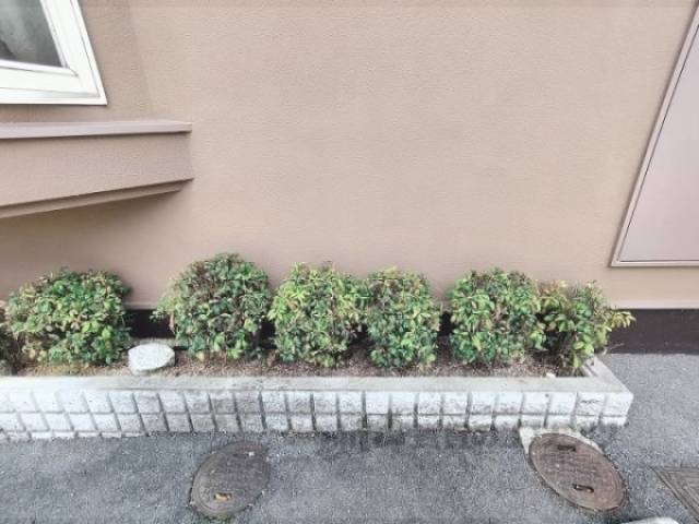 植栽
