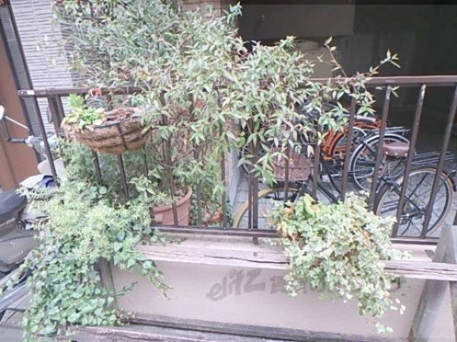 植栽