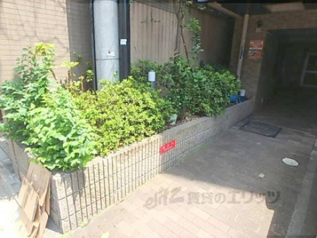 植栽