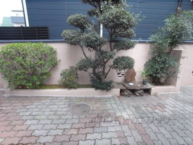 植栽