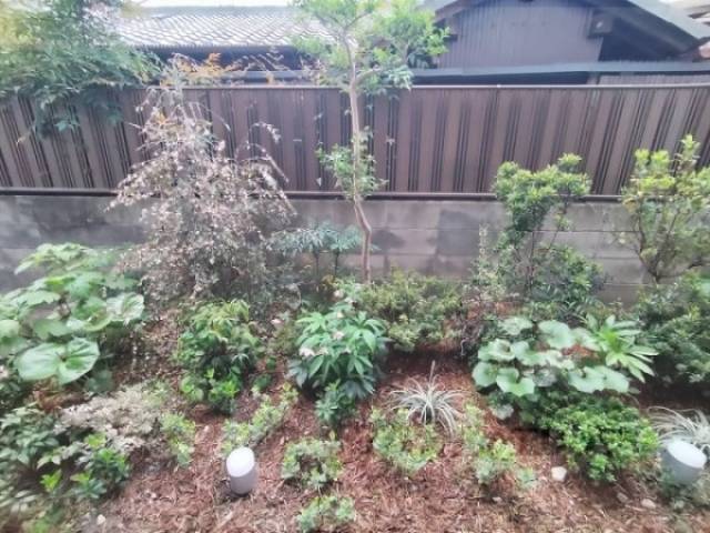 植栽　ゴミ置き場