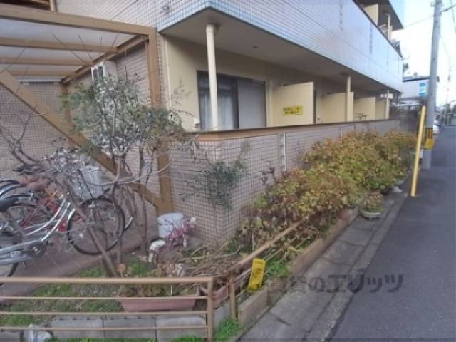 植栽