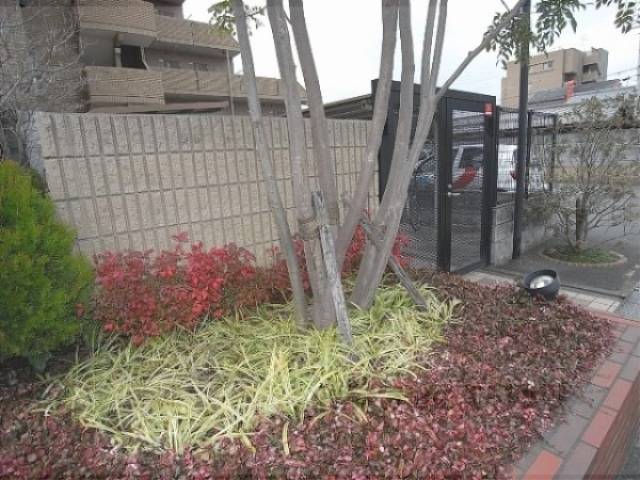 植栽