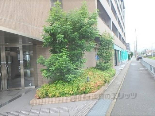 植栽