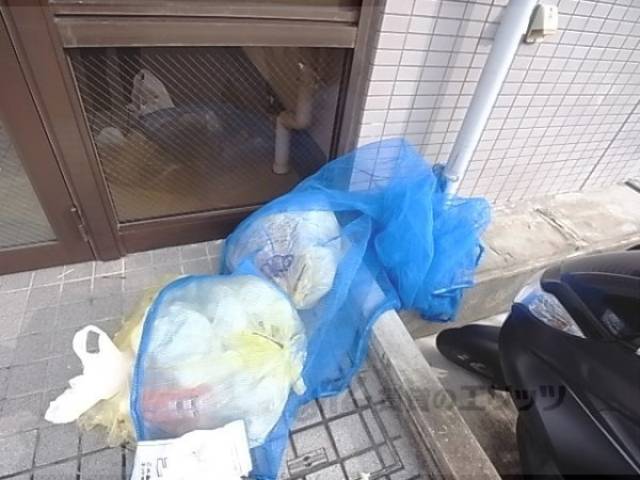 共用ゴミ捨て場