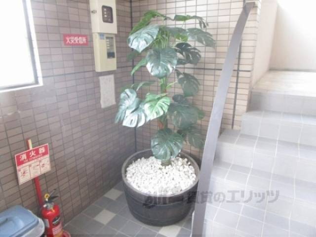植栽