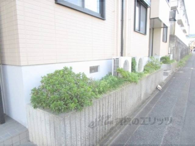 植栽