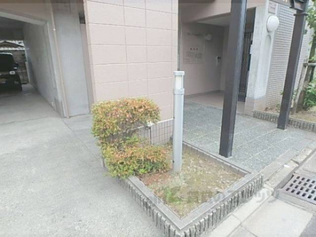 植栽