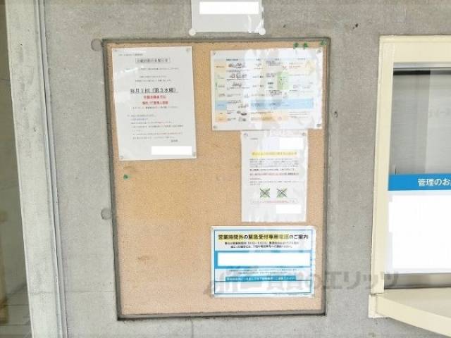掲示板