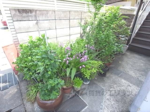 植栽