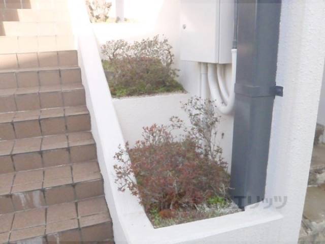 植栽