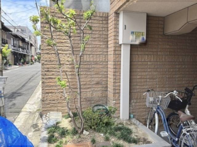 植栽