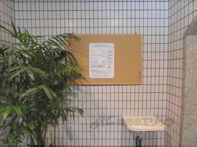 掲示板