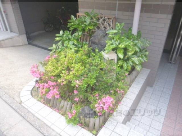 植栽