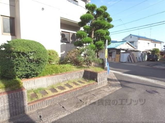 植栽