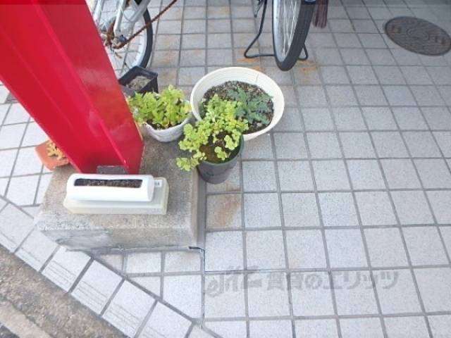 植栽