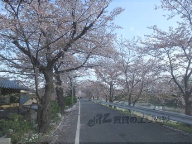 近隣風景