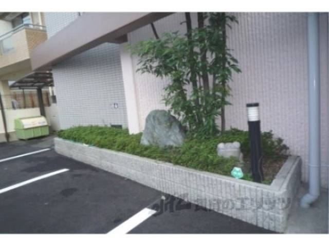植栽