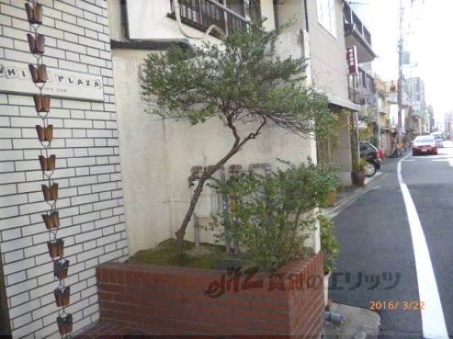 植栽