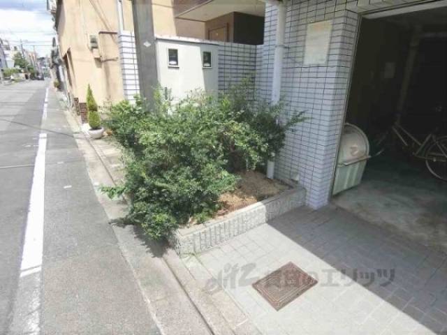 植栽
