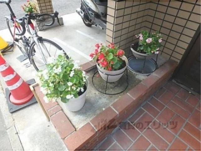 植栽