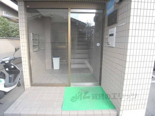 正面
