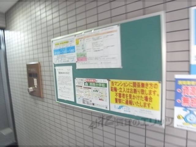 掲示板