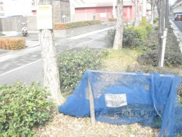 ゴミ捨て場