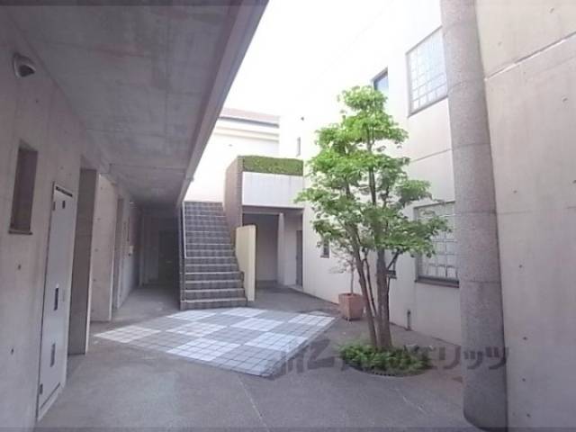 中庭