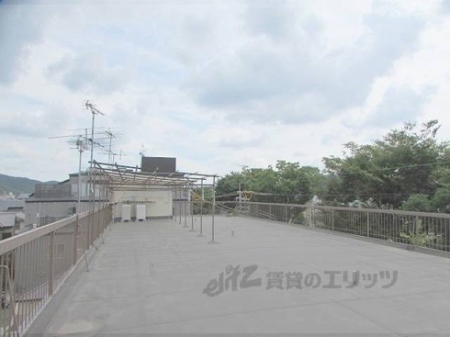 屋上