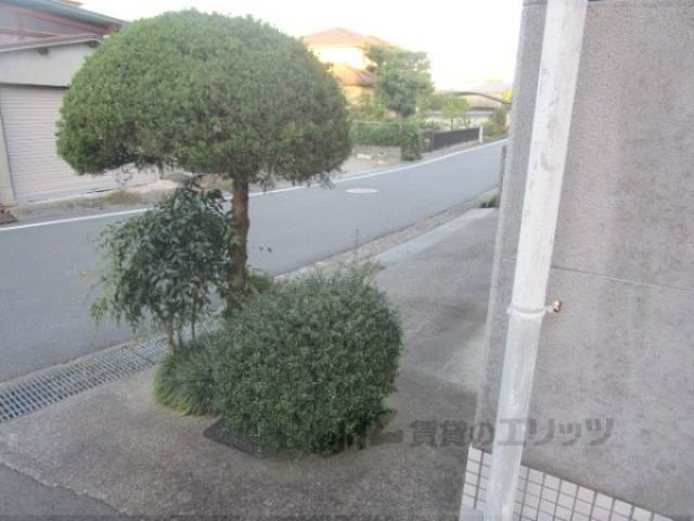 植栽
