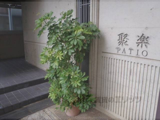 植栽