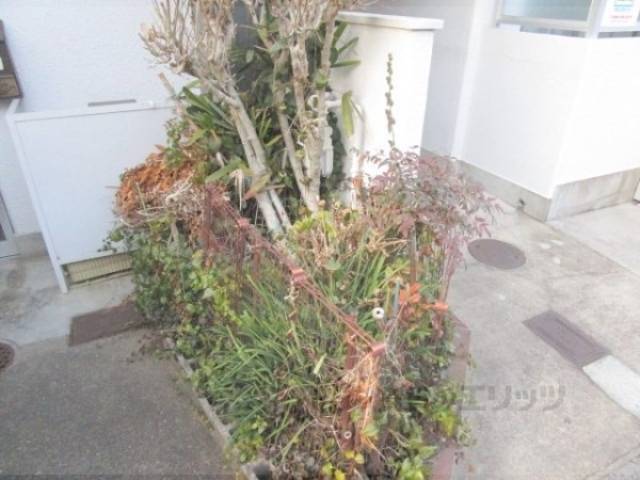 植栽