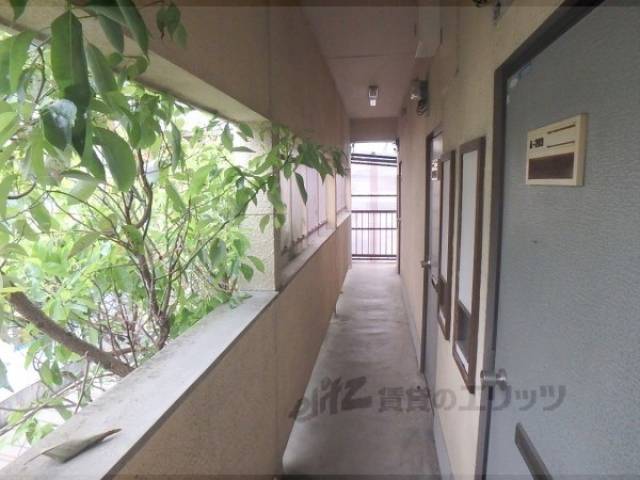 通路