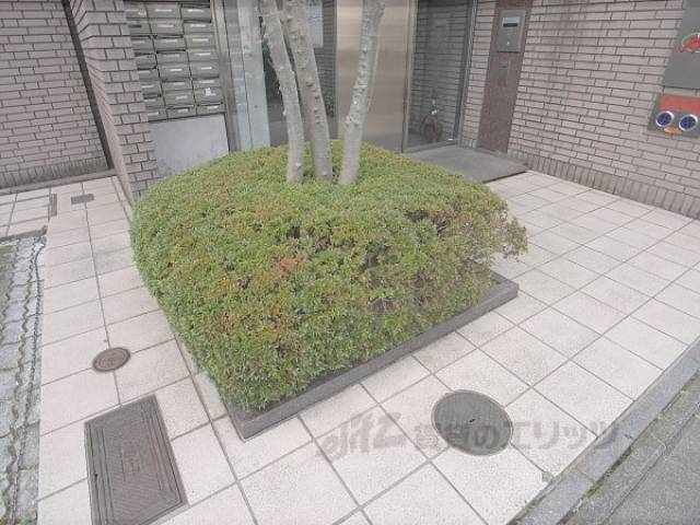 植栽