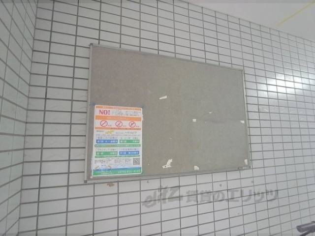 掲示板