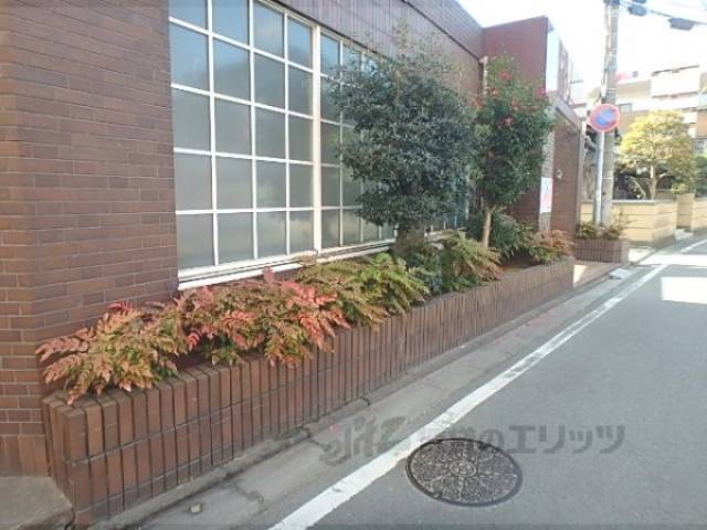 植栽