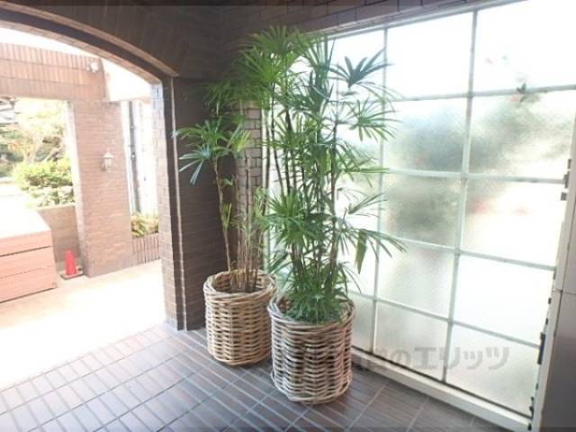 植栽