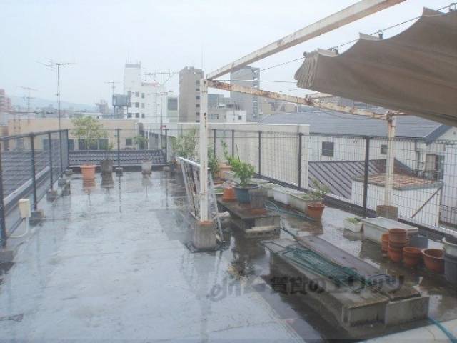 屋上