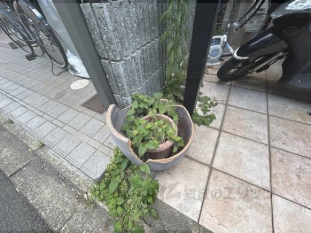 植栽
