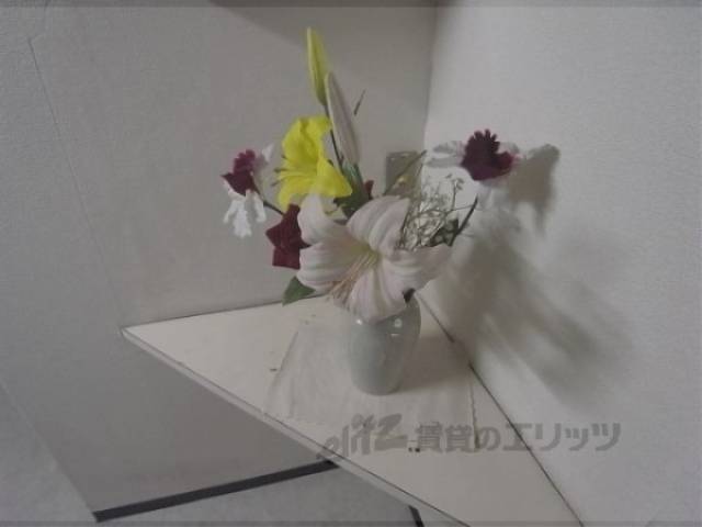 植栽　花瓶