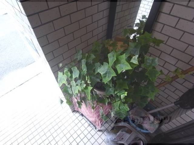 植栽