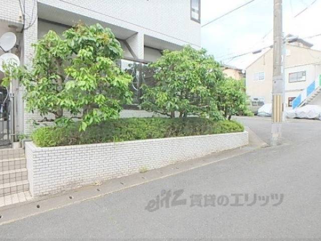 植栽