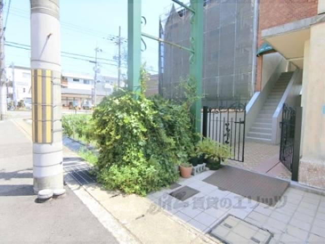 植栽