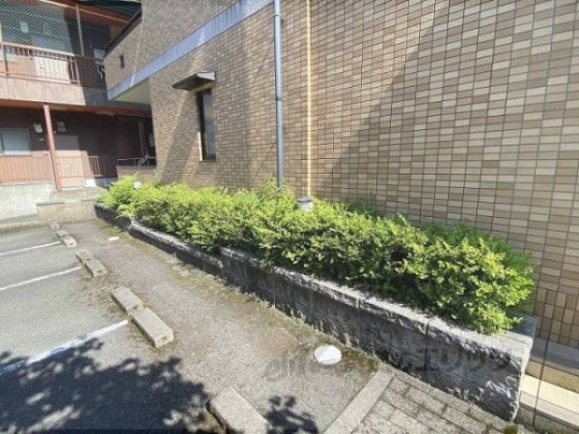 植栽